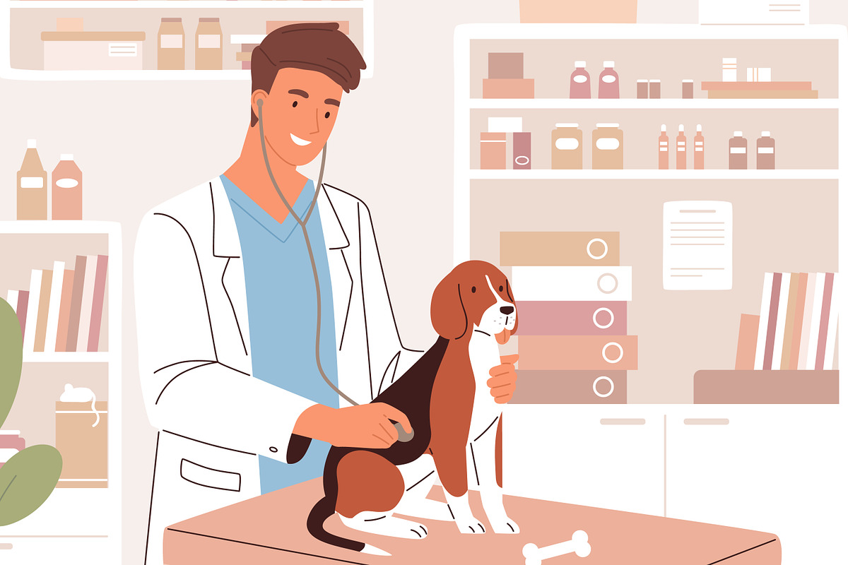 Veterinarian examining dog, an Animal Illustration by Good Studio (Photo 2 of 3)