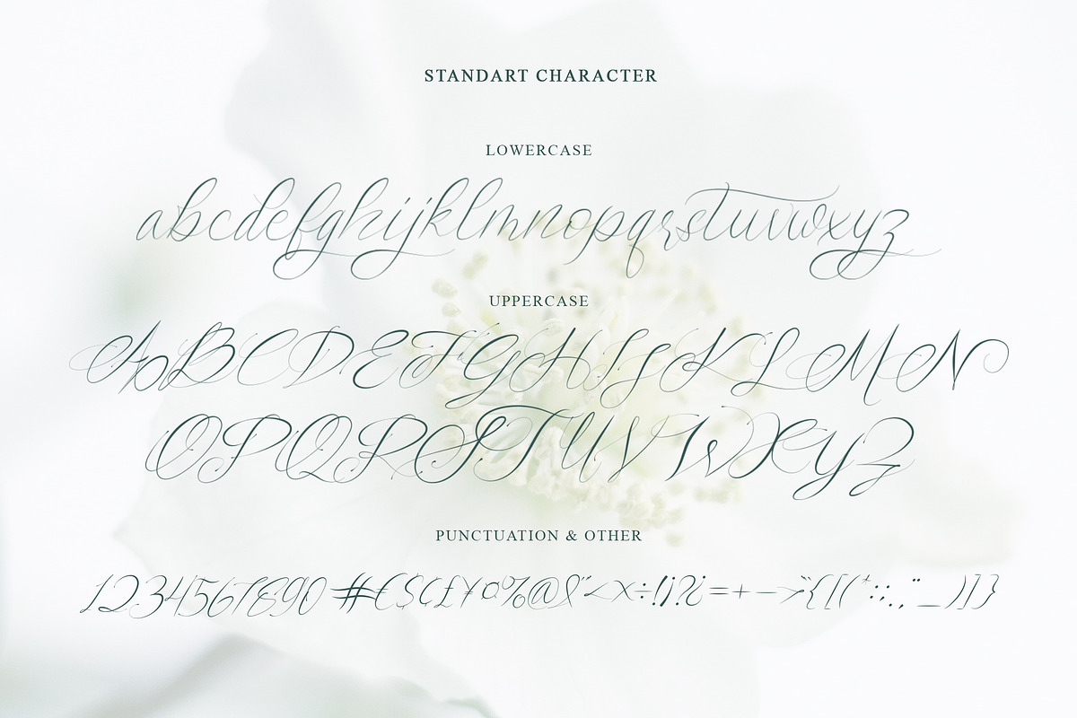 Saint Flow - Beauty handwritten, a Script Font by Brightone (Photo 3 of 9)