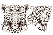 White LEOPARD, an Animal Illustration by Tanya Akhmett (Thumbnail 5 of 6)