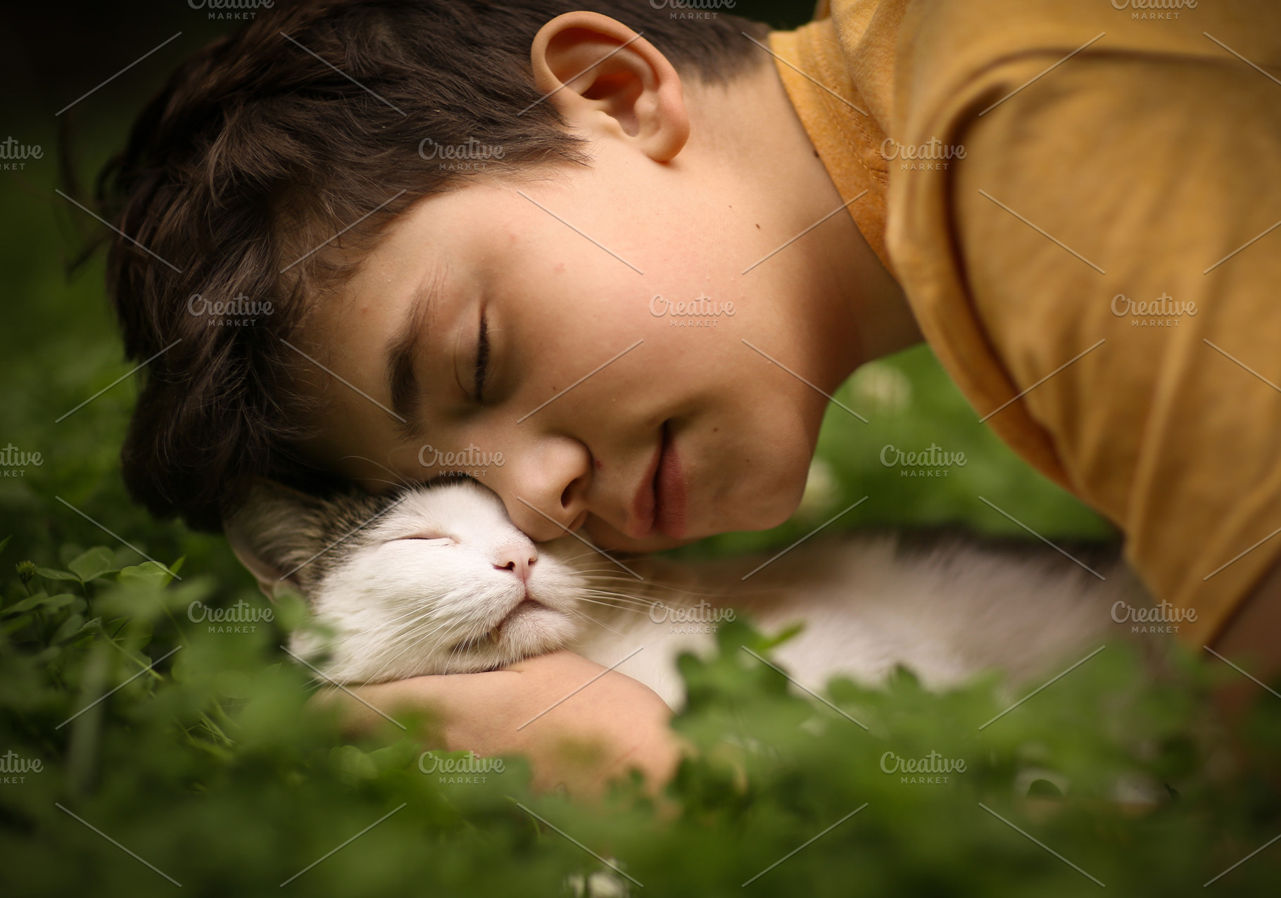 Teenager boy with cat in hummock nap containing human, boy, and white, an Animal Photo by Famapictura