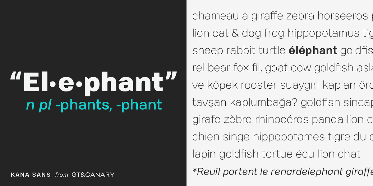 Kana Sans, a Sans Serif Font by GT&CANARY (Photo 3 of 6)