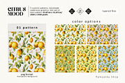 Citrus mood-summer seamless patterns, a Pattern Graphic by Pamyatka Shop (Thumbnail 3 of 13)