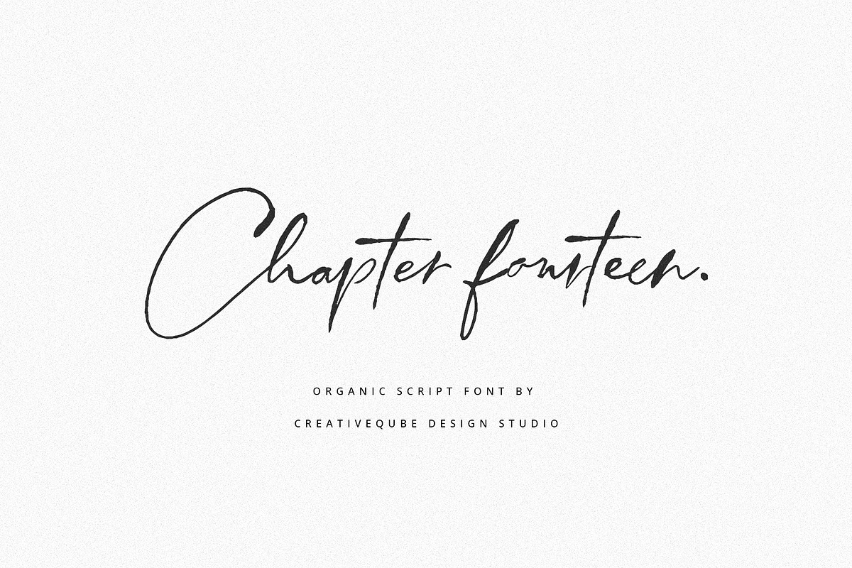 Chapter Fourteen Script Font, a Script Font by Creativeqube Design (Photo 1 of 11)