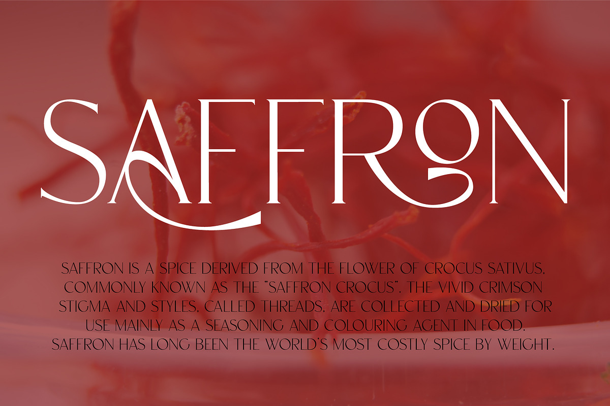 CARNIVAL Elegant Serif Font, a Serif Font by Anna Zakharchenko (Photo 8 of 14)