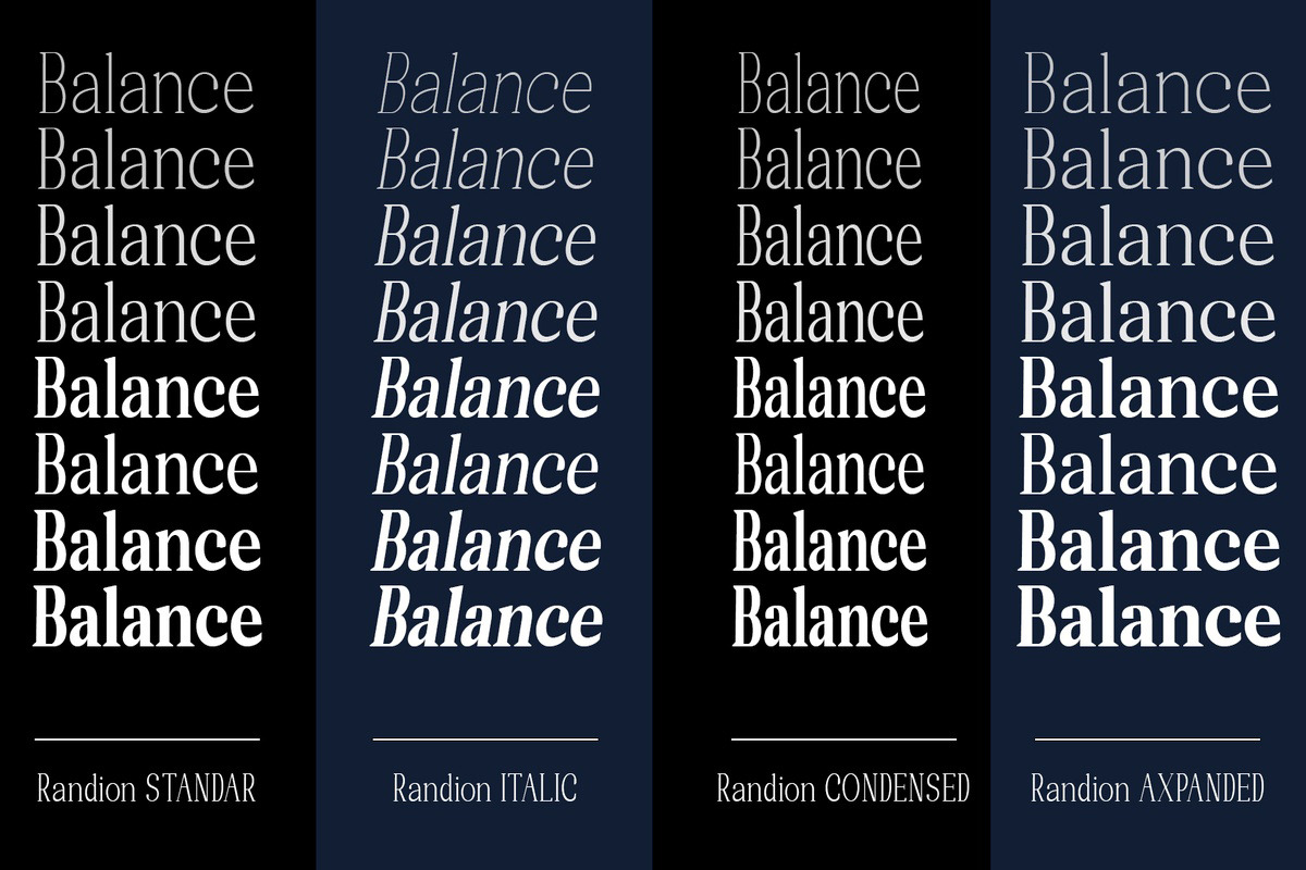 Randion, a Serif Font by StudioRhd (Photo 3 of 14)