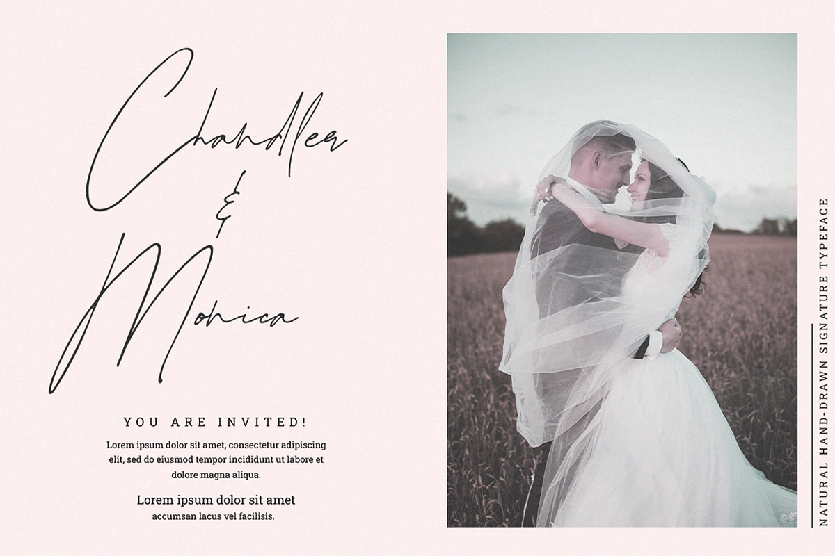 Juliette | Natural Signature Font, a Script Font by Ardana Creative (Photo 9 of 12)