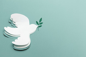 A white dove Flying with an Olive Branch. Peace,New Beginnings o, a Photo by salmon.black