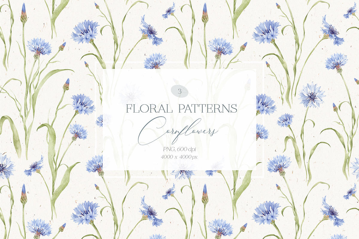 Watercolor Cornflowers, an Illustration by Nastya.Chay (Photo 5 of 10)