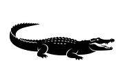Crocodile Alligator Vector Bundle, an Illustration by jahid234 (Thumbnail 31 of 51)