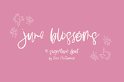 June Blossoms Script, a Handwritten Font by Beck McCormick (Thumbnail 1 of 10)