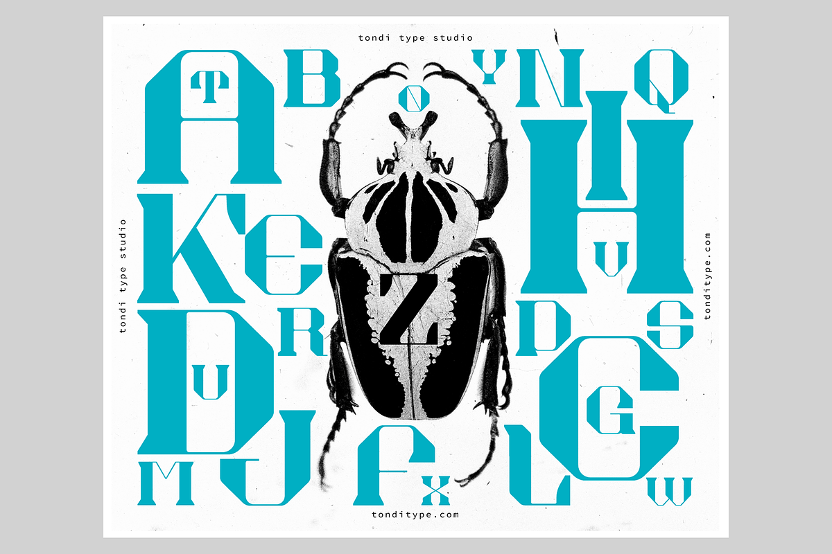 Akadis Display Font, a Serif Font by Tondi Type Studio (Photo 12 of 18)