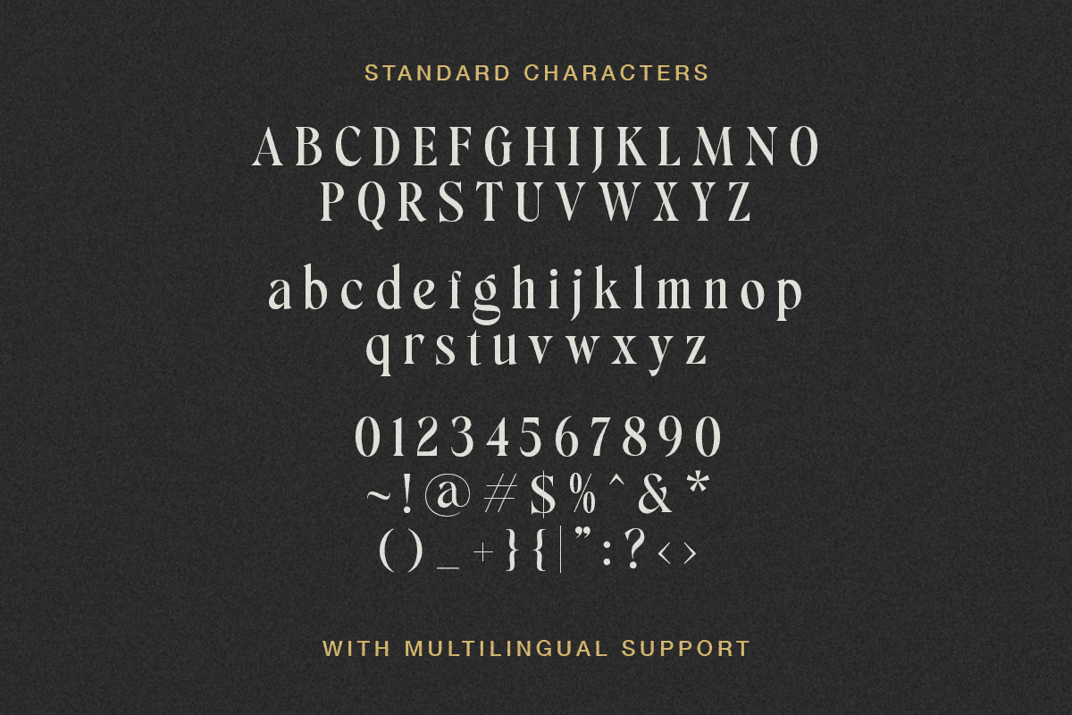Silver Delight Modern Serif, a Serif Font by Letterhend Studio (Photo 8 of 10)