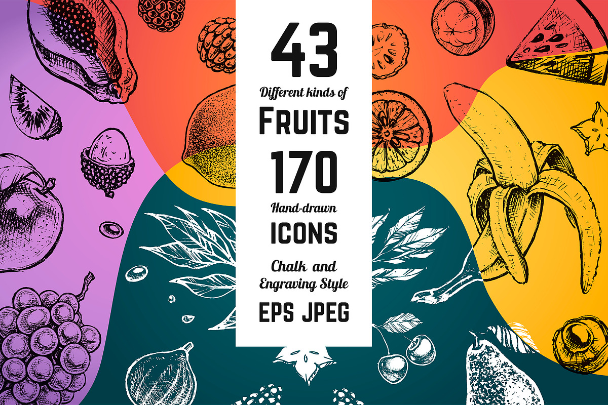 Fruits - hand drawn vector set, a Food Illustration by Margo Miller (Photo 1 of 25)