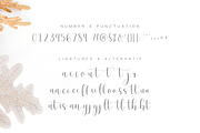 Effort - Calligraphy Font, a Script Font by Dharmas Foundry (Thumbnail 8 of 13)