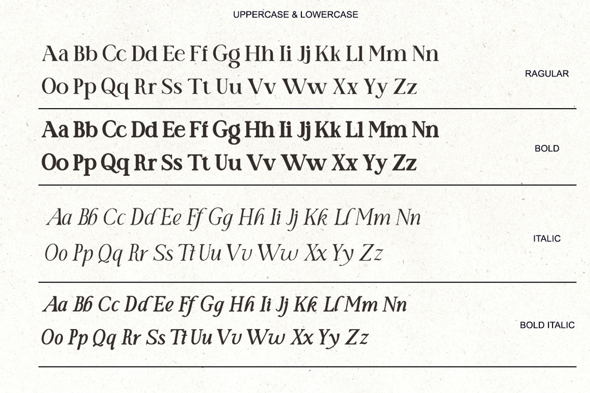 Manifest Font Serif, a Serif Font by AnayaStudio (Photo 8 of 9)