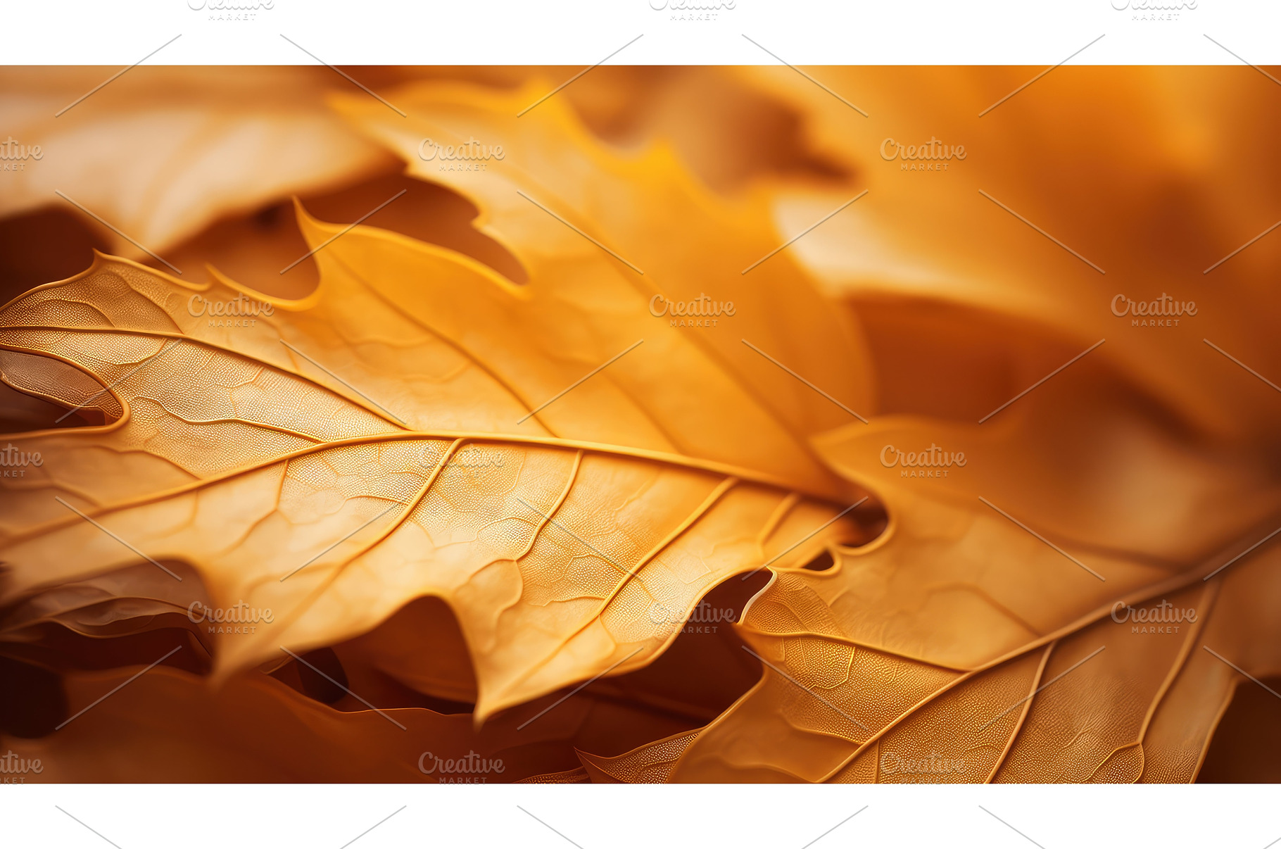 advert maple golden leaves macro ai, a Nature Photo by pikepicture
