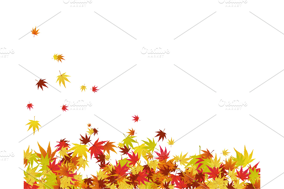 Autumn Leaves Border Set, a Decorative Illustration by Pavel Vectors (Photo 3 of 8)