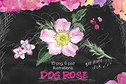 Over 120PNG watercolors, an Illustration by Alisa Mikibith Art (Thumbnail 4 of 15)
