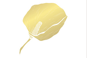 Golden Calla Card Template