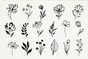 Hand Drawn Ink Botanical Elements, a Decorative Illustration by Irina Ostapenko (Thumbnail 2 of 10)