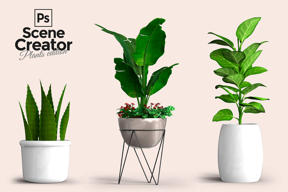 60 PSD Beautiful isolated plants, a Household Mockup by JAZZ STUDIO (Photo 3 of 7)
