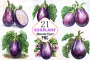 Eggplant Watercolor Cliparts, an Illustration by RobertsArt (Thumbnail 1 of 7)