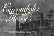 Genovia - Elegant Calligraphy Font, a Script Font by Pixesia Studio (Thumbnail 6 of 10)