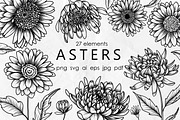 Aster Line Art SVG, an Object Graphic by Dervik Art Store (Thumbnail 1 of 7)