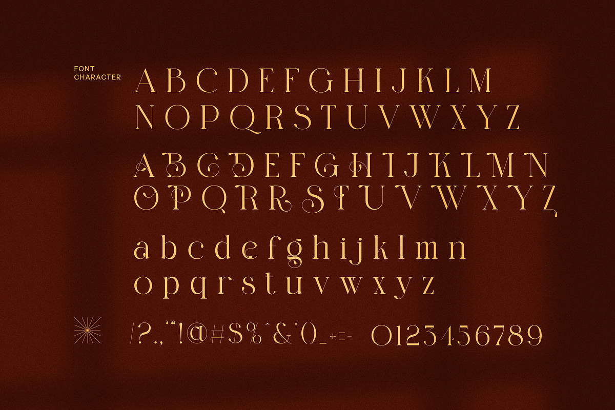 Binger Elegant Serif Font, a Serif Font by Perfectype (Photo 8 of 8)