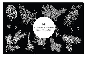 Vector silhouettes of fir branches