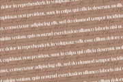 Raligosh Mendophelia Modern Font Duo, a Serif Font by Storytype Studio (Thumbnail 3 of 15)
