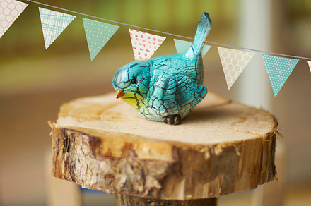 Blue Bird Stock Photo preview 4