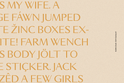 Viano Regular & Outline, a Sans Serif Font by ALunadoki Design (Thumbnail 7 of 8)