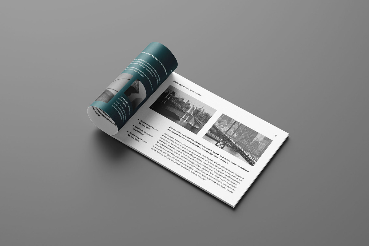 Case Study Booklet Landscape, a Brochure Template by Seeing-art (Photo 6 of 10)