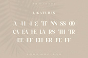 Purity - Modern Ligature Font, a Serif Font by TypeFounder (Thumbnail 9 of 11)