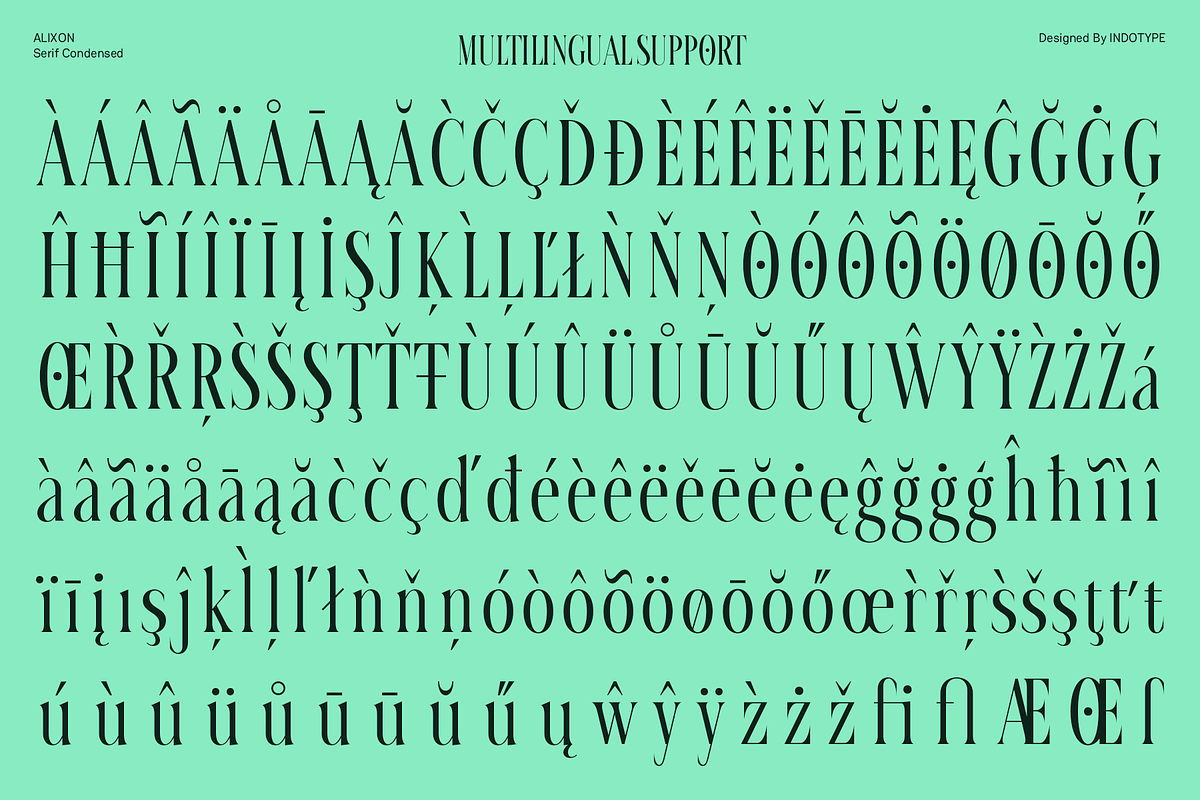 Calixon - Serif Condensed Font, a Serif Font by Indotype Foundry (Photo 6 of 10)