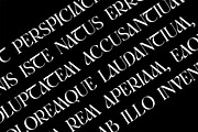 Rimogles Modern Serif Font, a Serif Font by UICreative (Thumbnail 7 of 13)