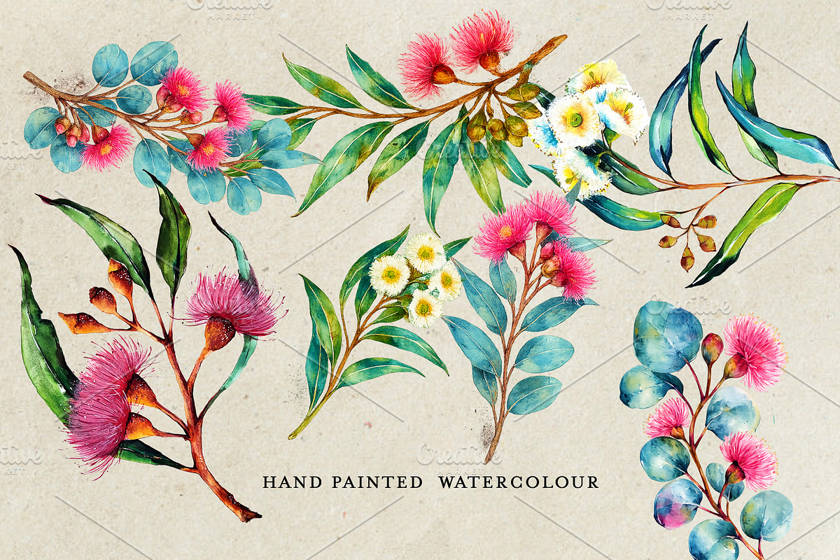 Watercolor Eucalyptus, a Decorative Illustration by Karliefie (Photo 2 of 4)