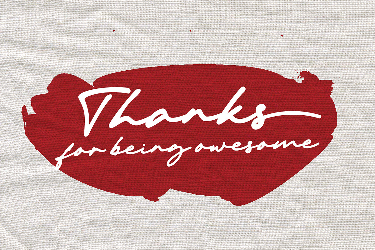 Michigan Signature, a Script Font by Cititype (Photo 14 of 14)