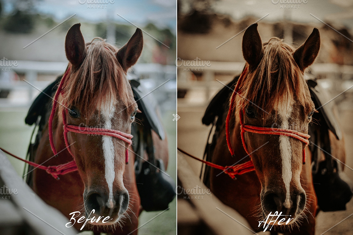 10 Western Cowgirl Lightroom Presets, a Preset Add-On by MEPRESETS (Photo 4 of 8)