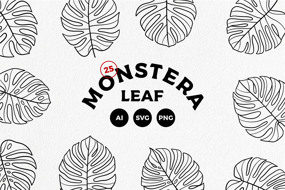 monstera mint deliciosa Monstera Deliciosa 'Mint'