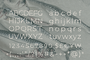 MOCCEL TYPEFACE, a Sans Serif Font by Naturaworks Creative (Thumbnail 2 of 4)
