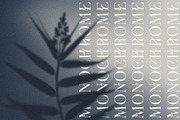 MONOCHROME Gradient & Floral Overlay, a Texture Graphic by Oksana Trygub (Thumbnail 13 of 15)