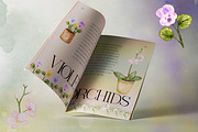 Houseplants Watercolor Collection, a Decorative Illustration by Aurella Art (Thumbnail 9 of 15)