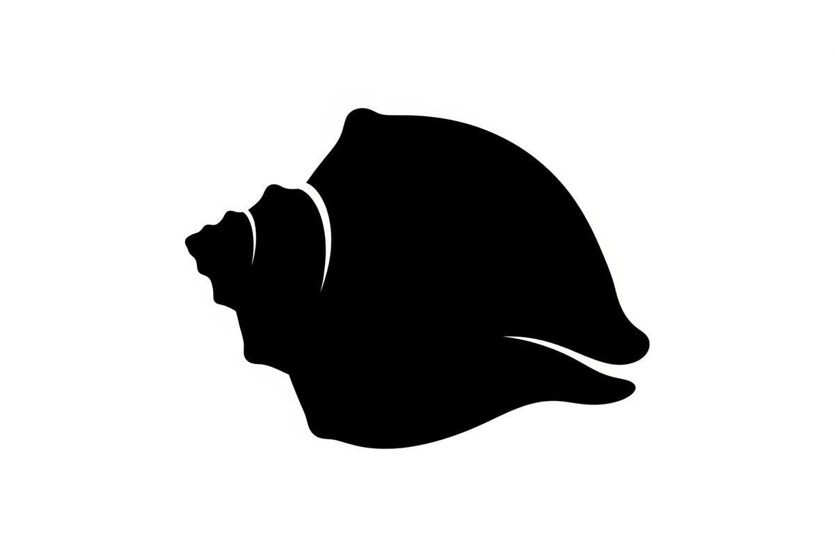 Shell Silhouette Vector Bundle, an Illustration by hafijul (Photo 32 of 48)