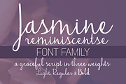 Jasmine Reminiscentse Font Family, a Script Font by Brittney Murphy Design (Thumbnail 1 of 2)
