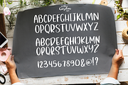 Lush Garden, a Script Font by Larin Type Co. (Thumbnail 7 of 8)
