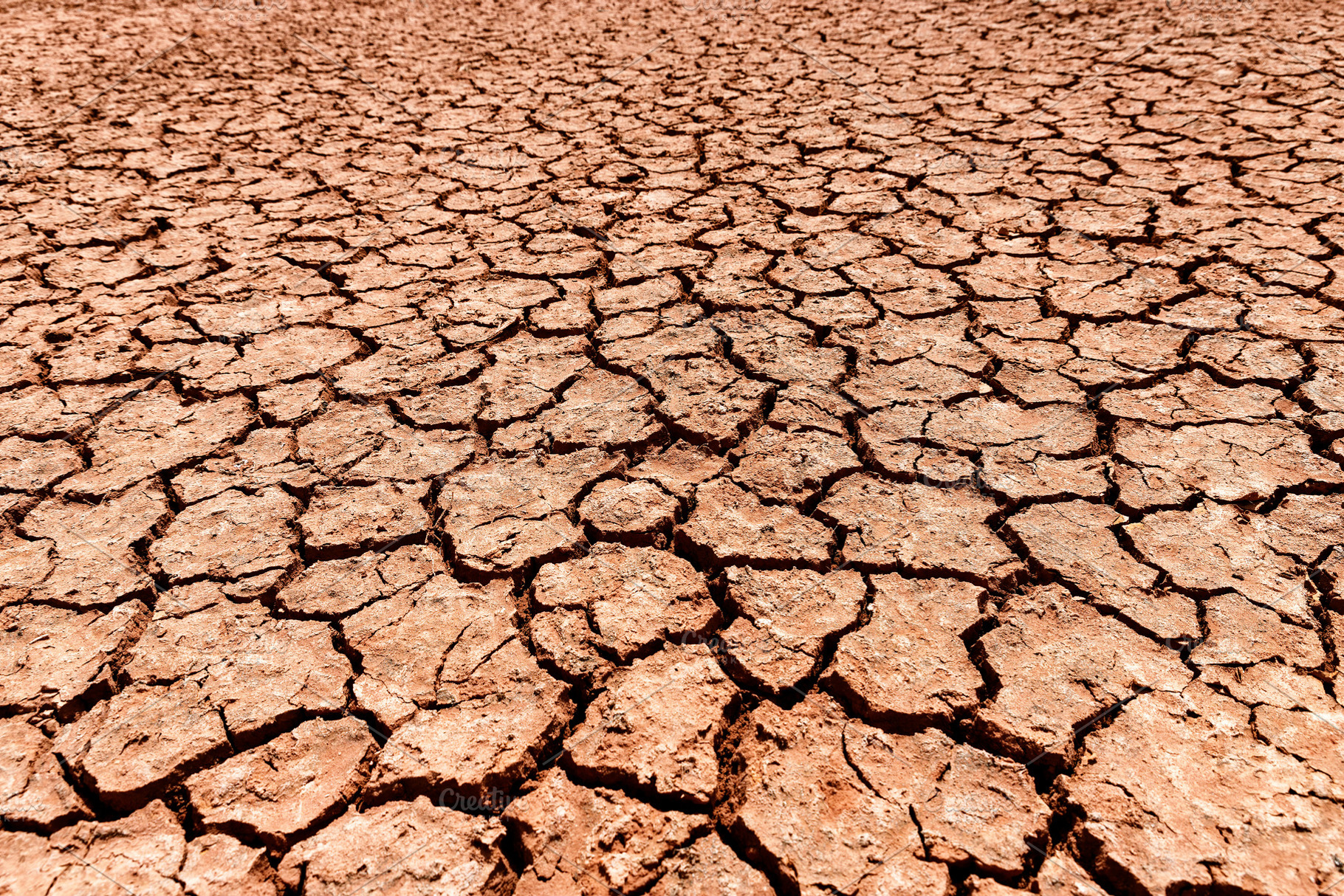 dry and cracked earth background, an Abstract Photo by Perpis