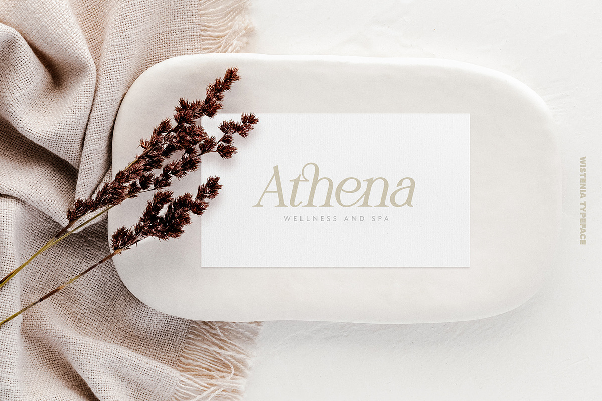 Wistenia Typeface, a Serif Font by Ivan Rosenberg (Photo 18 of 18)