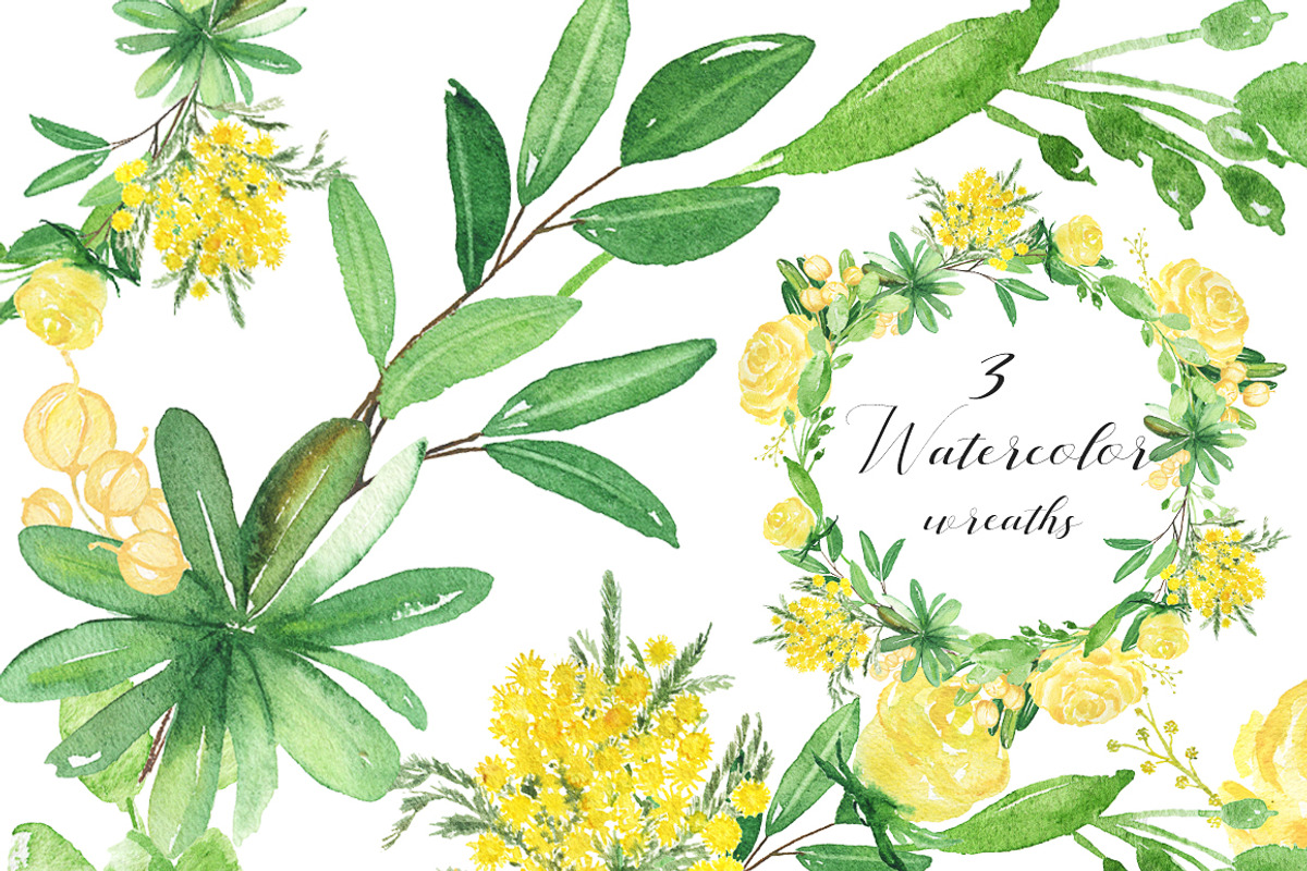 -50% Mimosa & roses flowers, an Illustration by LABFcreations (Photo 2 of 8)
